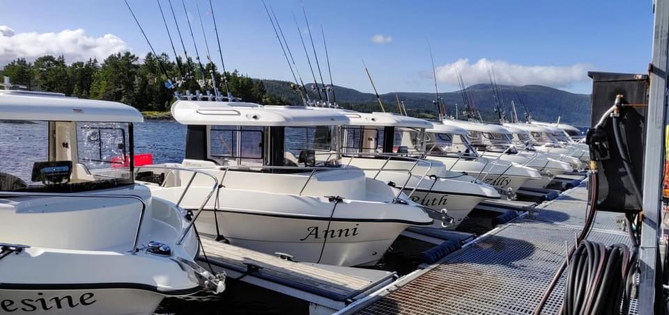 Arvor 215 AS 1